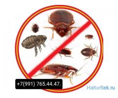 Дезинфекция кызматы клоп таракан даарылайбыз +79917654447.